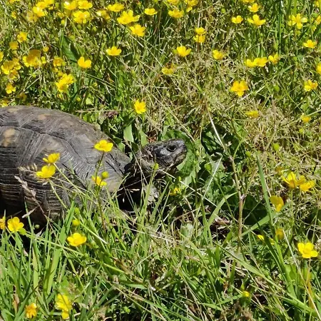 Casa A Rudas Διαμέρισμα