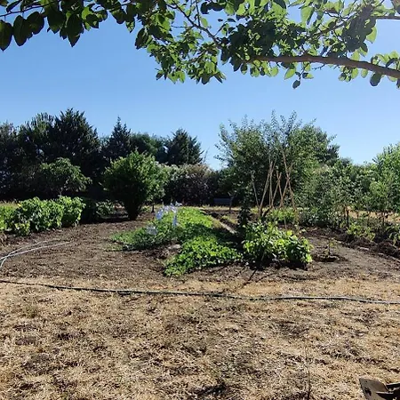 Casa A Rudas Διαμέρισμα Αλγκέρο